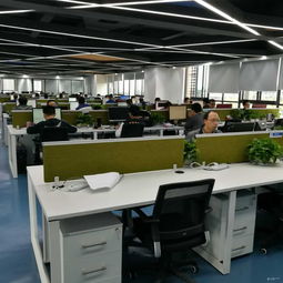 看準(zhǔn)網(wǎng)