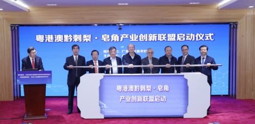 王老吉打造全產(chǎn)業(yè)鏈幫扶模式 助力貴州刺梨產(chǎn)業(yè)向百億產(chǎn)業(yè)發(fā)展