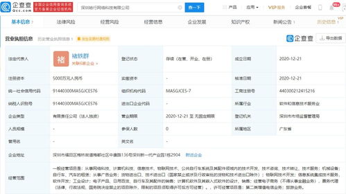 信息系統(tǒng)集成服務(wù)的全面解析